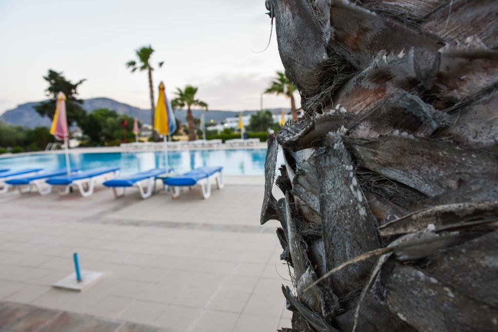 Chrysoula Hotel Kéfalos エクステリア 写真
